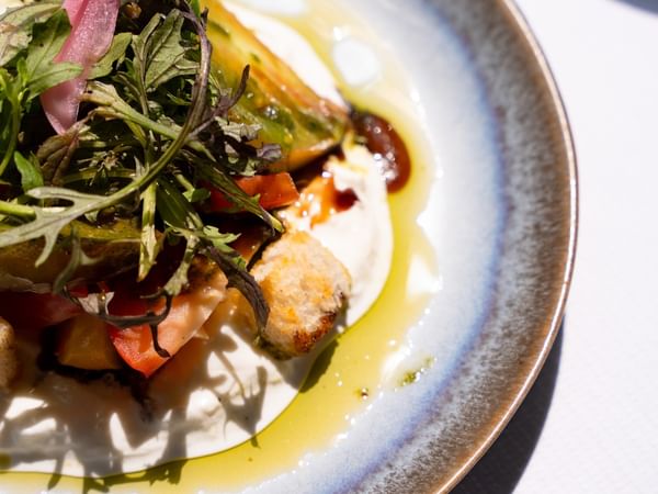 Burrata, heirloom tomatoes and basil pesto