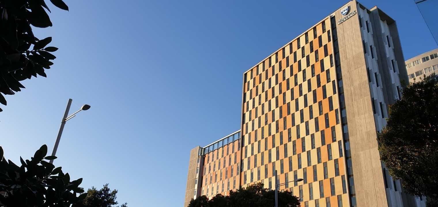 Te Tirohanga O Te Toangaroa — Auckland