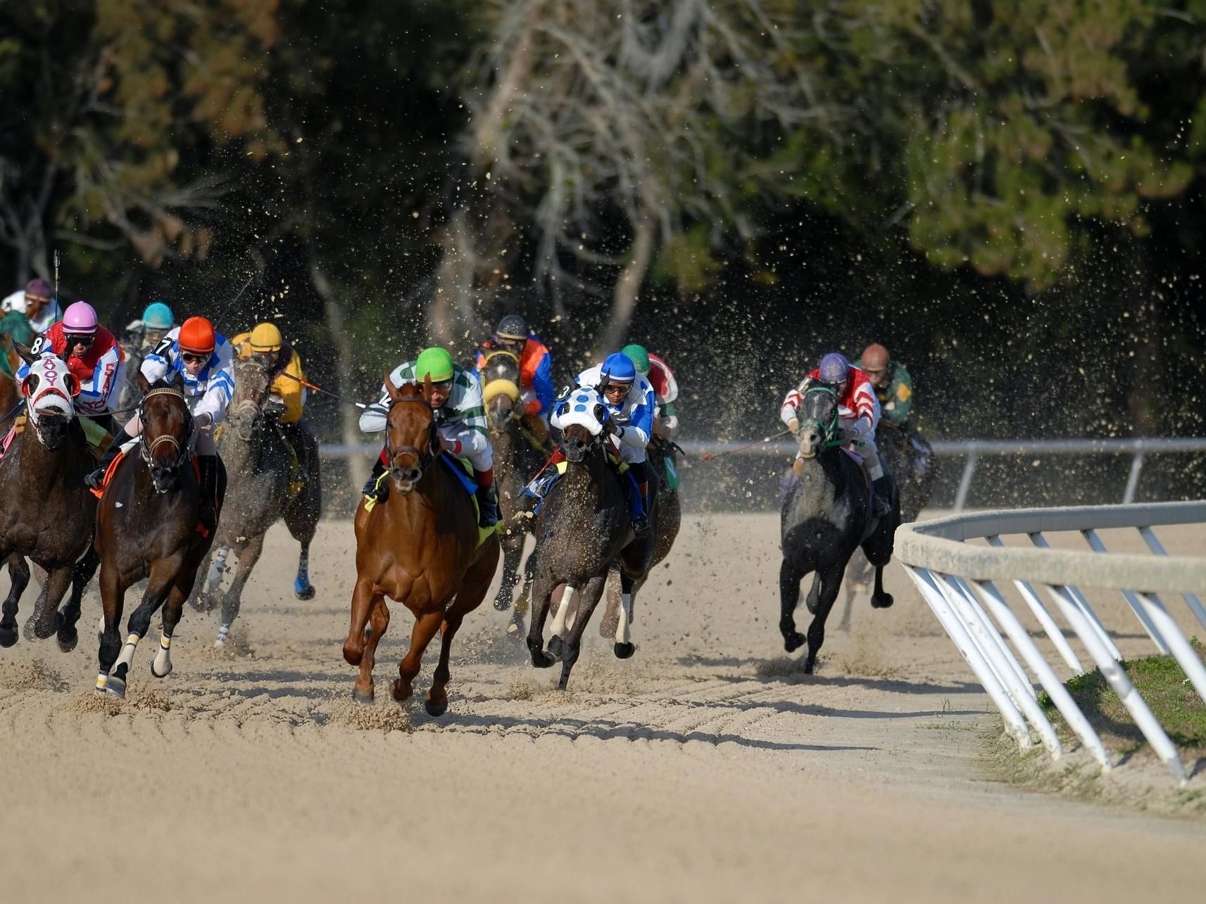 Horseback riders racing in the Saratoga Race Course near Hotel Brookmere