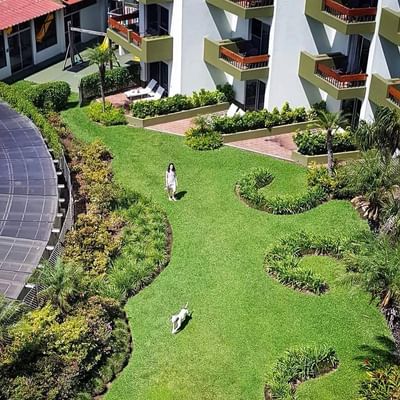 Vista aerea del jardin con una mascota