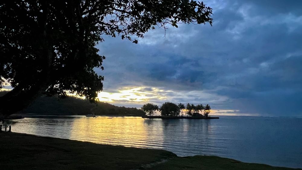 Sunset over tranquil waters with palm trees at The Naviti Resort in Korolevu, Fiji.