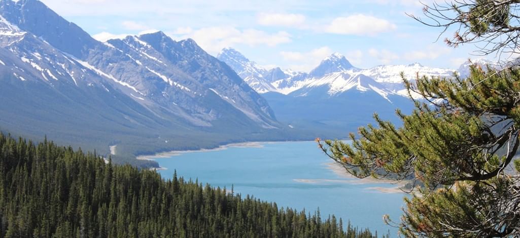 A view of the mountains while driving to Banff.