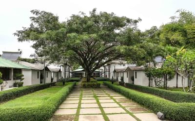 A walkway surrounded by lush greenery at Cha Cha Hotel