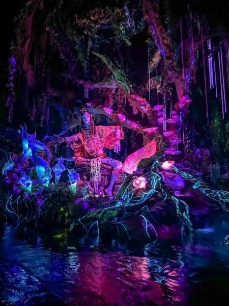 Na'vi River Journey boat ride at Disney's Animal Kingdom at Walt Disney World.