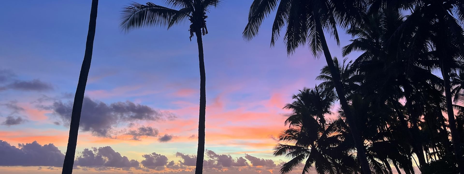 Silhouettes of palm trees against a vibrant sunset sky at Tambua Sands Beach Resort in Sigatoka.