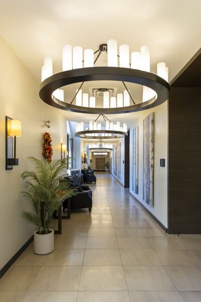Potted plant by black armchairs under hoop chandeliers at Rodd Miramichi River, a featured Miramichi hotels