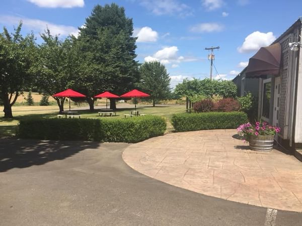 Silver Falls Vineyards Patio 