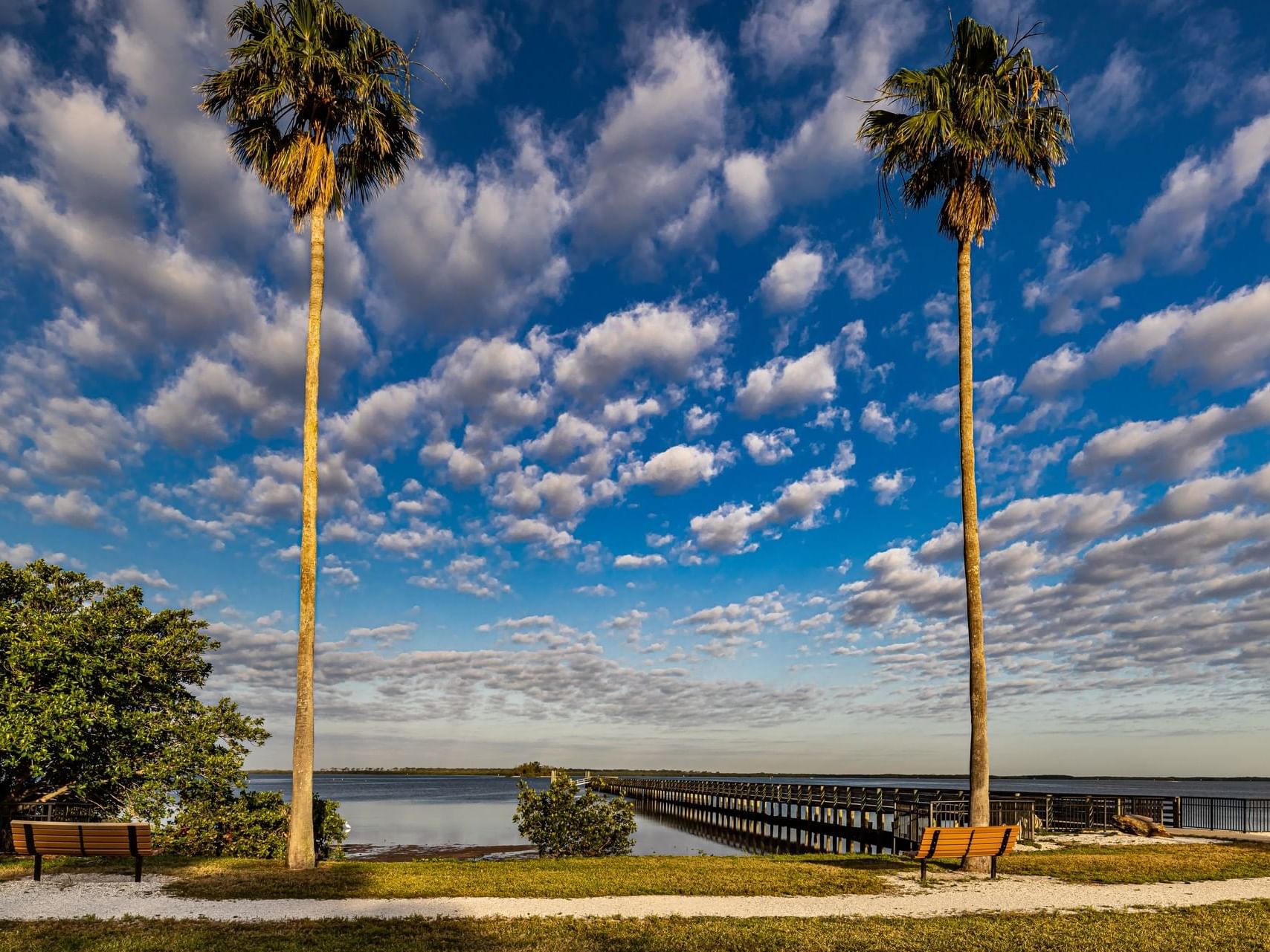 Palm trees along the lake shore with a distant pier near Grant Street Inn in Dunedin FL