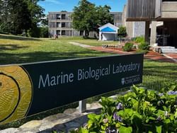 Entrance sign of Marine Biological Laboratory at Falmouth Tides