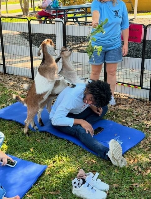 A young person with dark hair and features is sitting on a yoga mat at Bambi's Mini Petting Farm and has two goats with thei front hooves on the person's back. The person is smiling, wearing a light blue shirt and jeans.