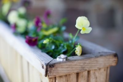 Wedding rings resting on a wooden planter with yellow and purple flowers at The Ranch at Ucross