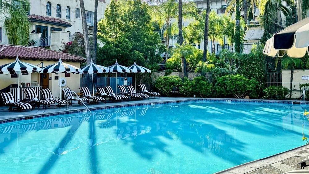 Heated Pool & Jacuzzi