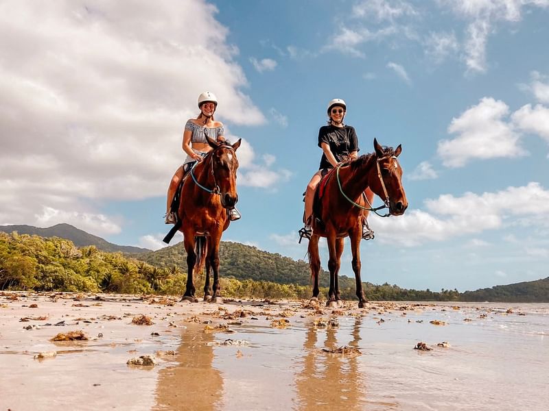 Things to do in Port Douglas near Pullman | Attractions