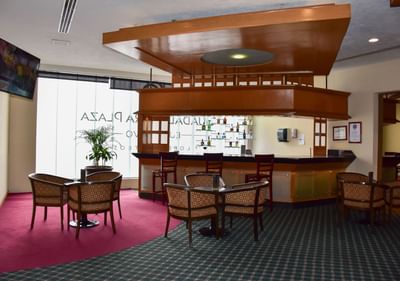Relaxing Lobby bar in Hotels Grupo Guadalajara