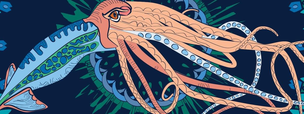 Colorful, stylized illustration of a squid, with intricate tentacles at Novotel Sydney Darling Harbour