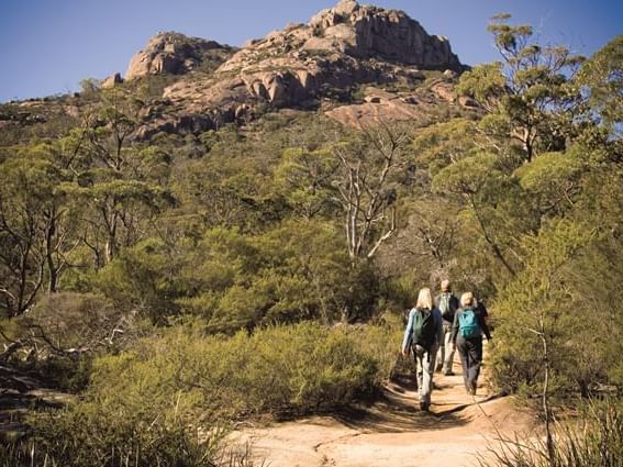 People on a hike at the mountain near Freycinet Lodge