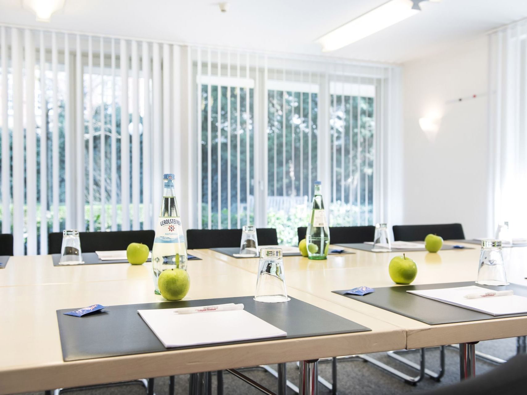Meetings at Hotel Collegium Leoninum, Bonn