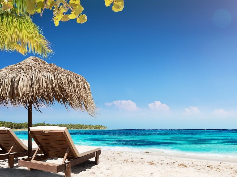 Close up on Sun loungers on beach at Daydream Island Resort