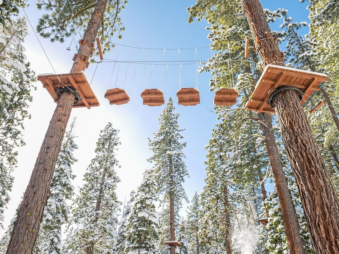 Treetop Adventure Course Granlibakken Tahoe Treetop Adventure Course Granlibakken Tahoe