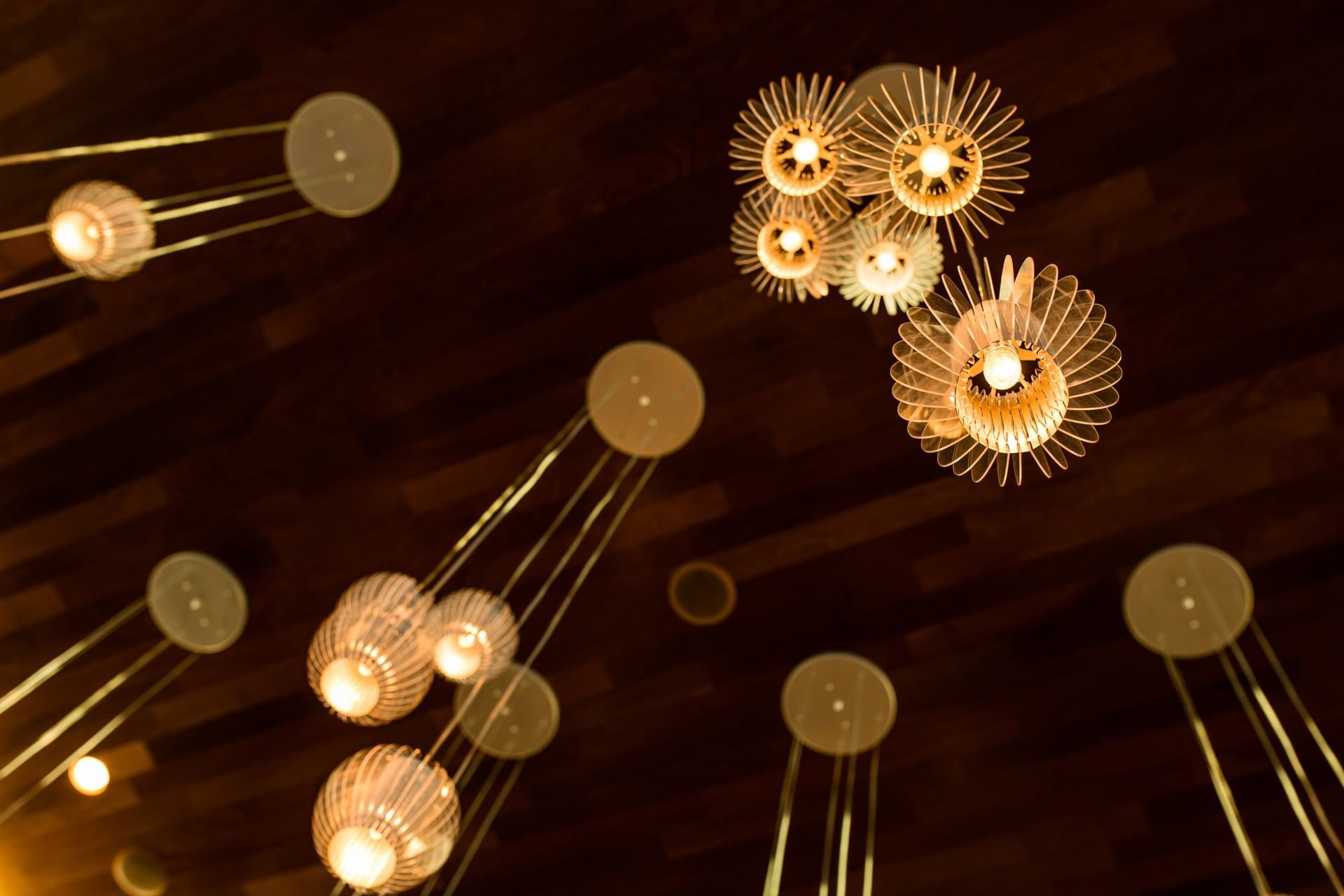 Pendant lights hung in ICONA Hotel Windrift