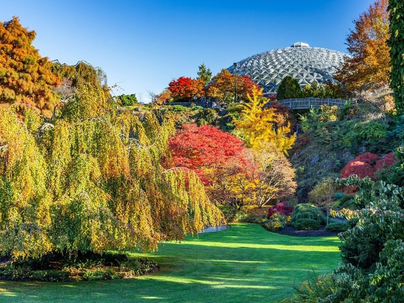 Queen Elizabeth Park 