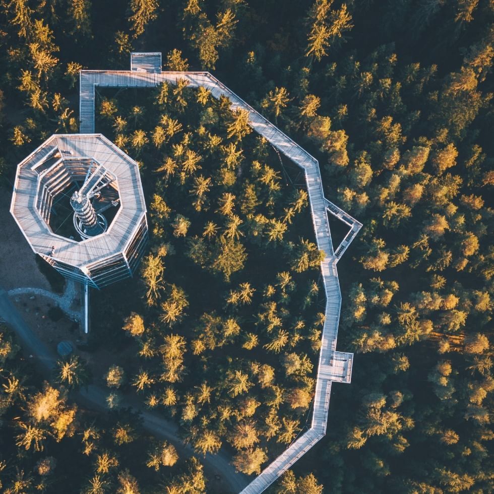 Aerial view of Lipno treetop path near Falkensteiner Genuss & Wohlfühlhotel Mühlviertel