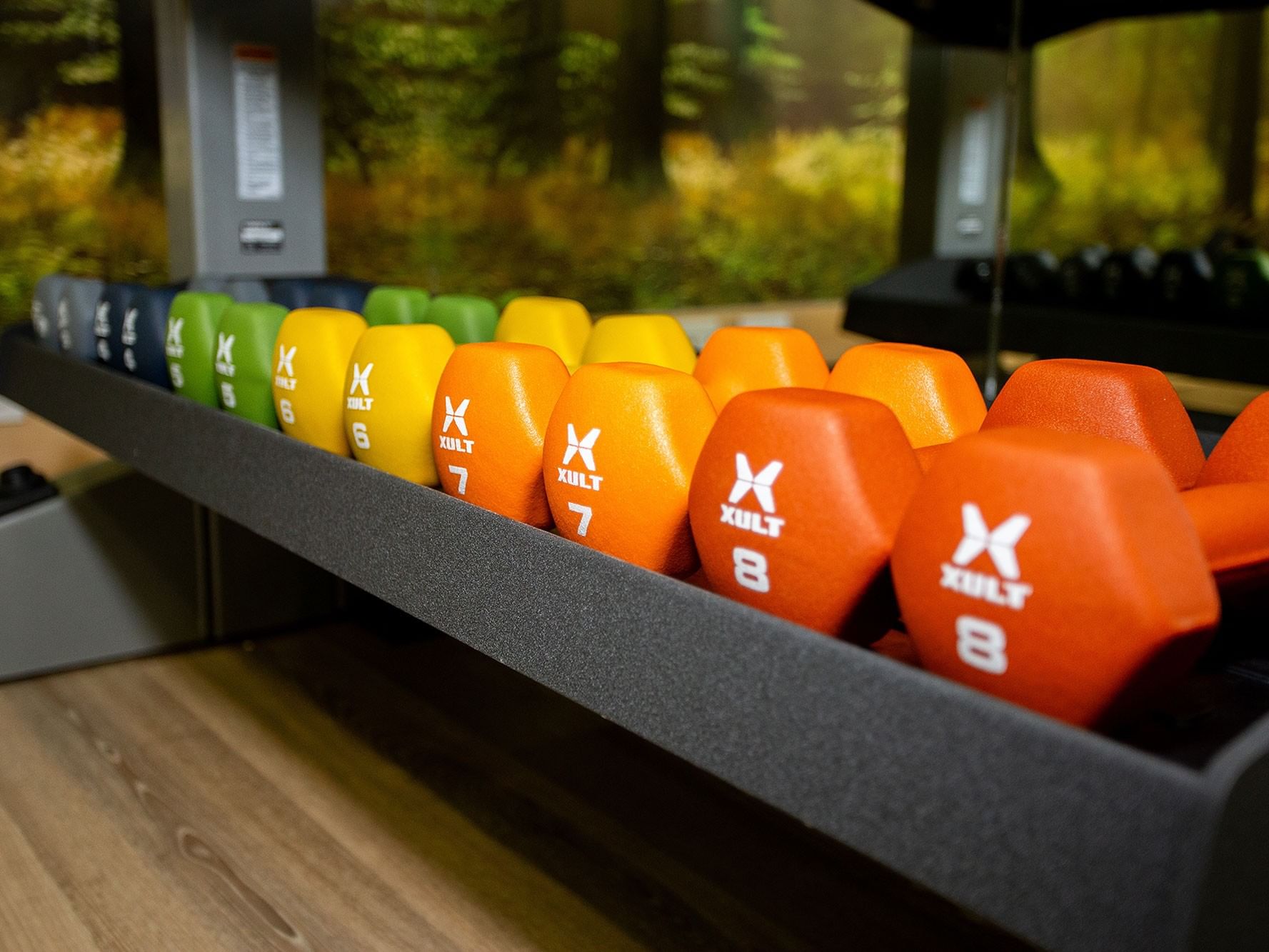 Various colored Xult dumbbells arranged in a rack with weights ranging from 5 to 8 pounds.