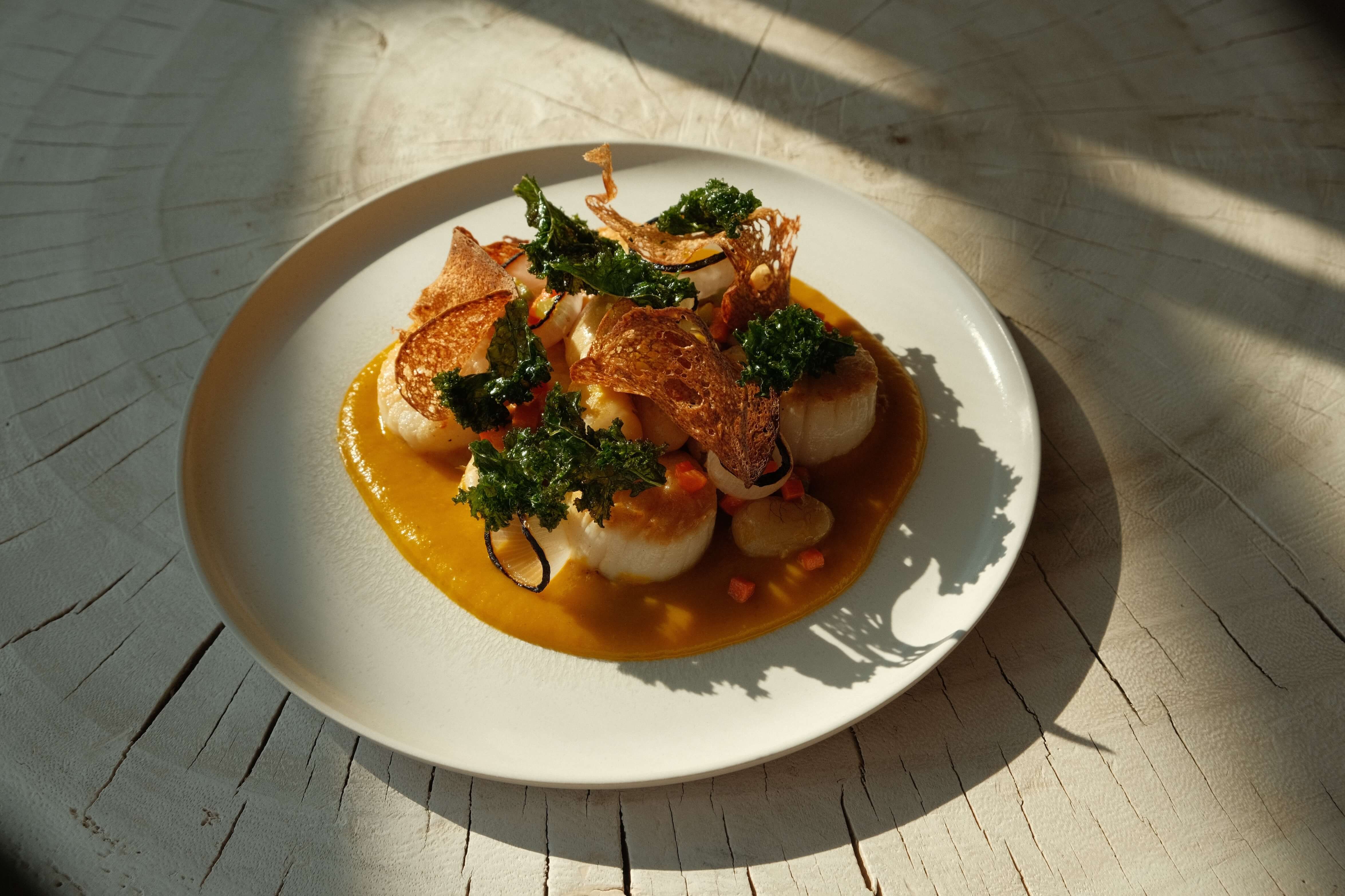 Freash scallops carfully placed on a plate