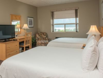 Two beds facing the TV on a wooden desk,& a reading chair by the window in Queen Executive at Hilltop Inn Salmon Arm