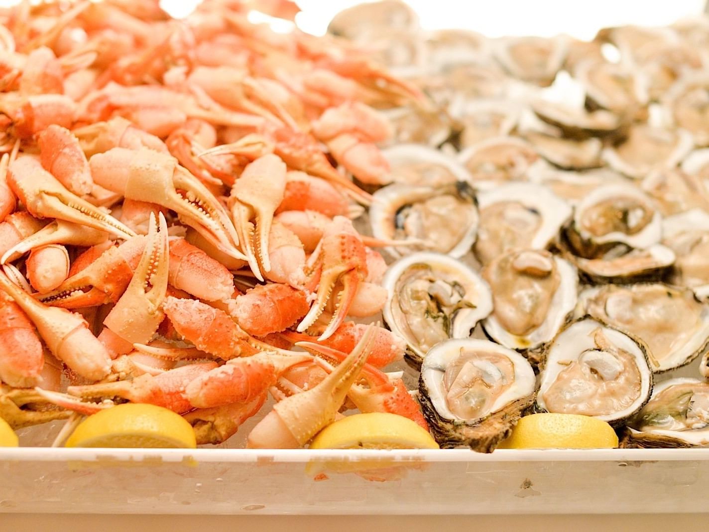 Close-up of kinds of seafood in kitchen at The Mayo Hotel