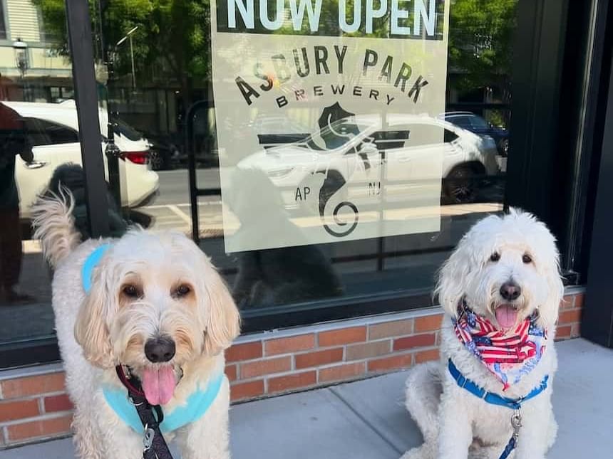asbury park brewery is dog-friendly