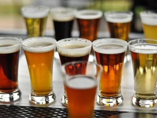 flights of beers on table