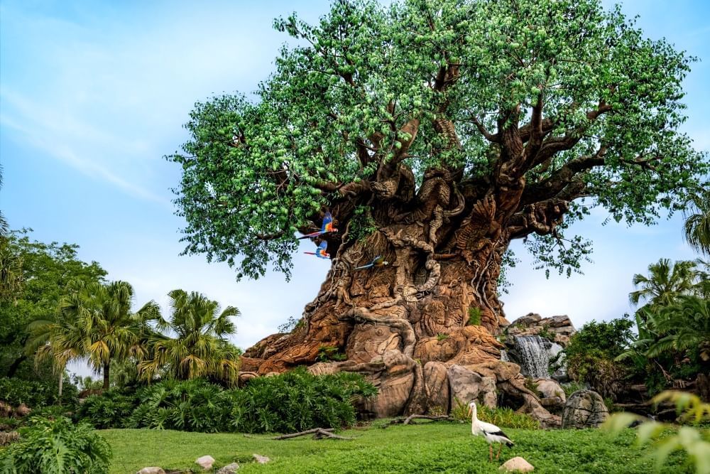 The Tree of Life at Animal Kingdom, with carvings of hundreds of animals in the trunk. A black and white stork stands in the foreground on grass.