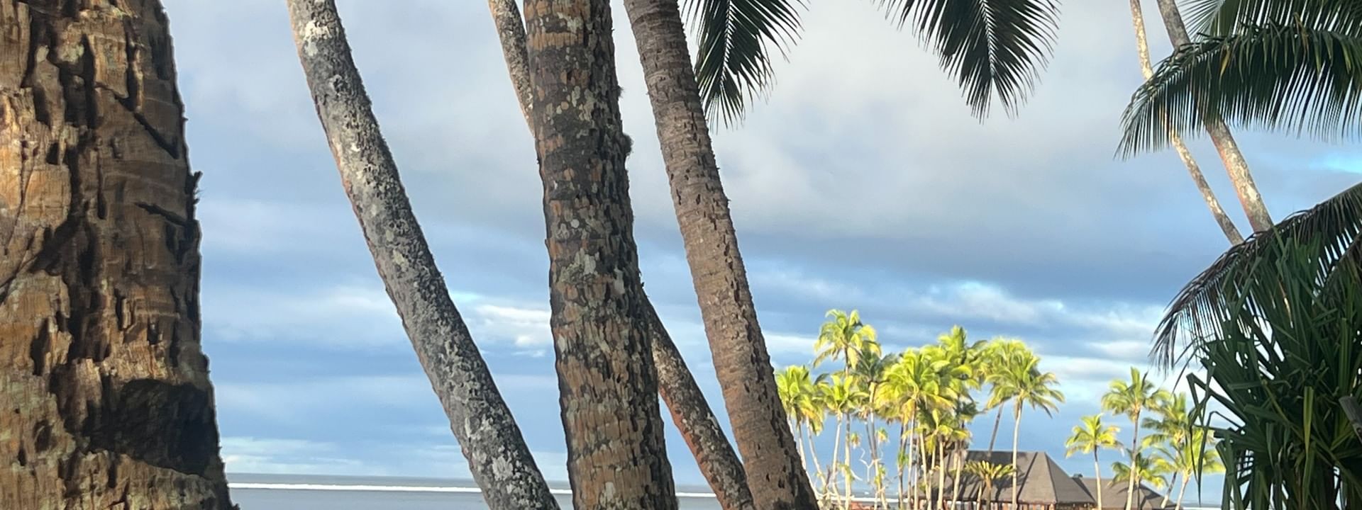 Tropical beach view with palm trees at Warwick Fiji Resort and Spa in Korolevu