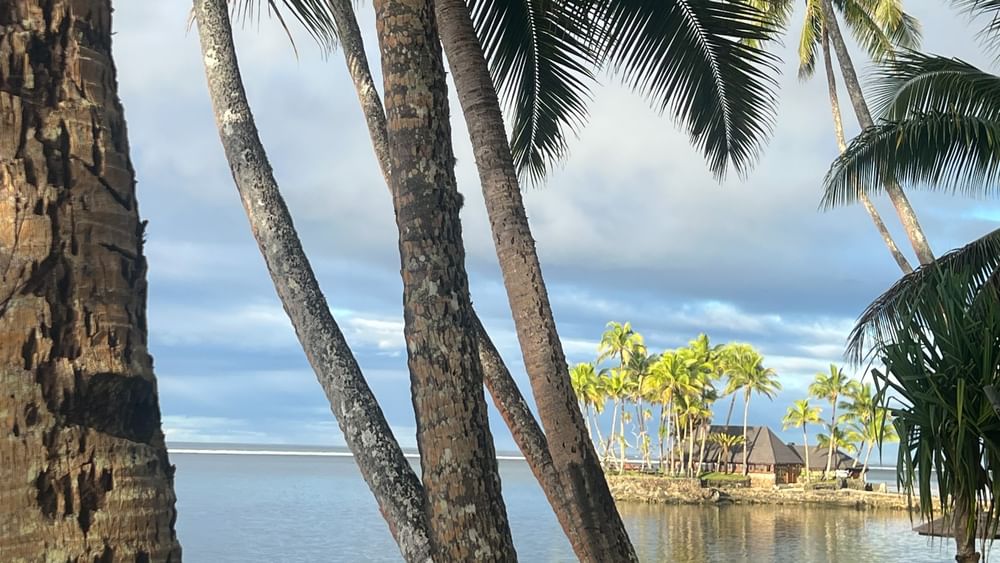 Tropical beach view with palm trees at Warwick Fiji Resort and Spa in Korolevu.