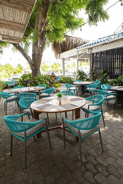Outdoor dining patio with turquoise chairs and round tables under a large tree at Playa Blanca Beach Resort