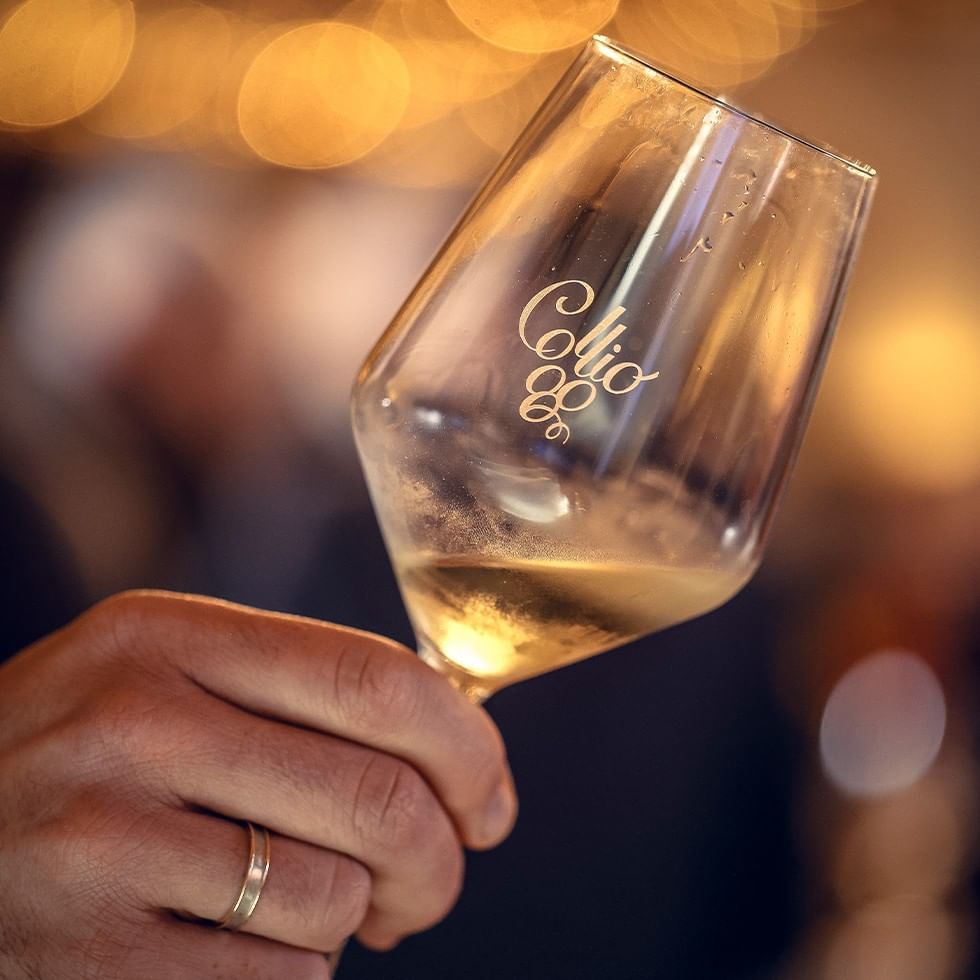 Hand hält ein Weinglas mit Wein aus der PURO Weinkollektion.