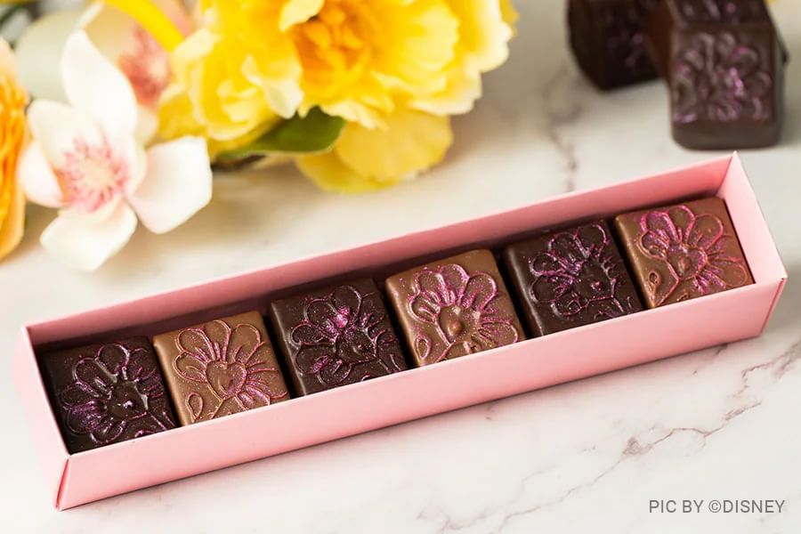 Box of six ornate chocolates at Typhoon Lagoon Water Park near Lake Buena Vista Resort Village & Spa