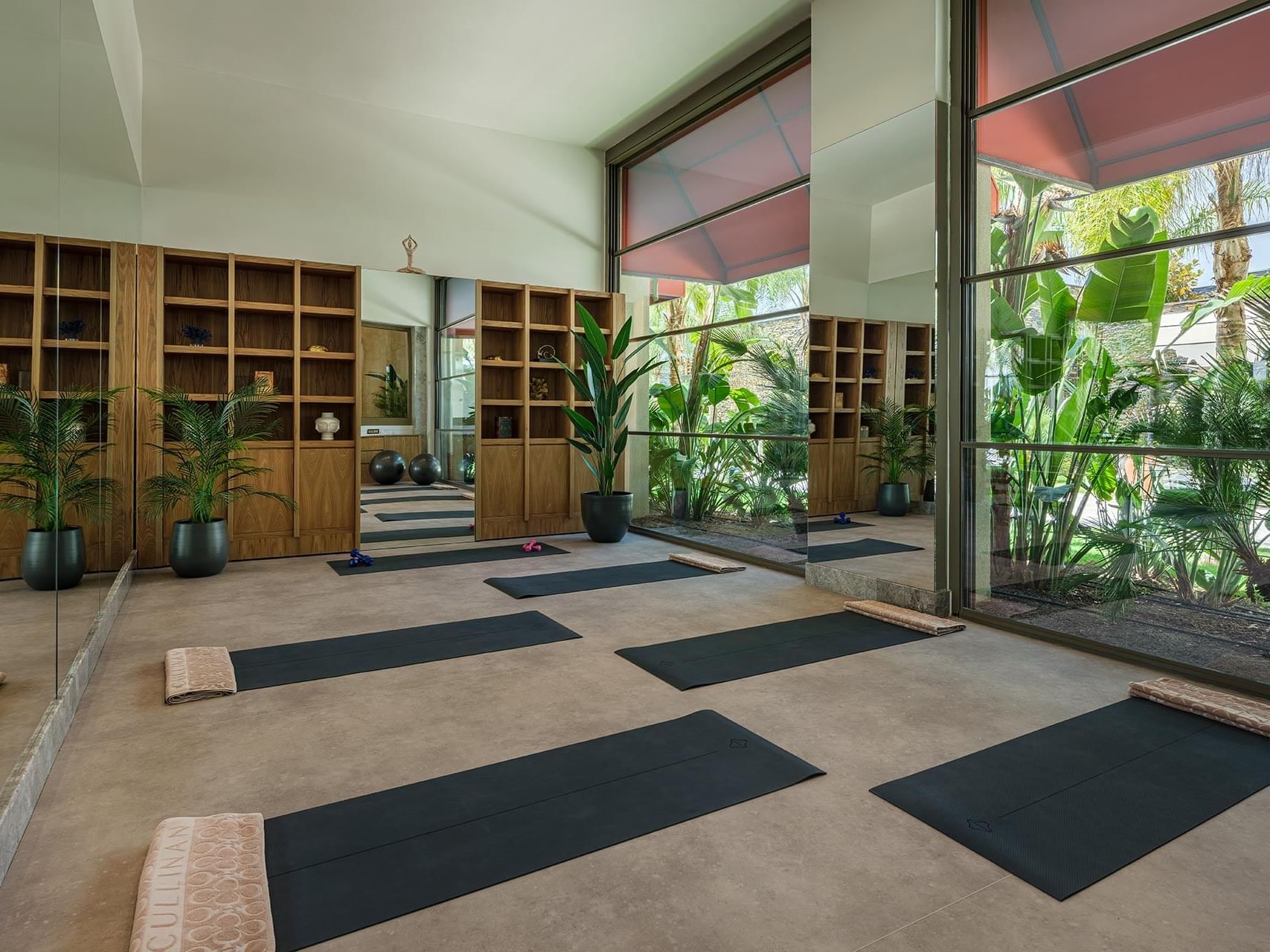 Yoga mats, big windows, plants, shelves in Cullinan Belek.