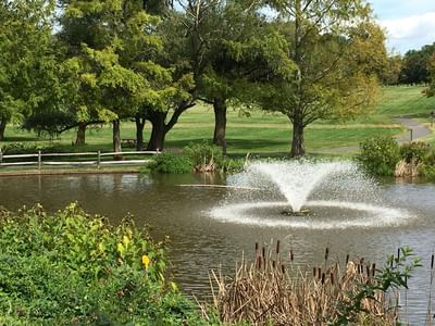 Decorative fountain spraying water in a pond surrounded by lush greenery at Aramark Chauncey Conference Center