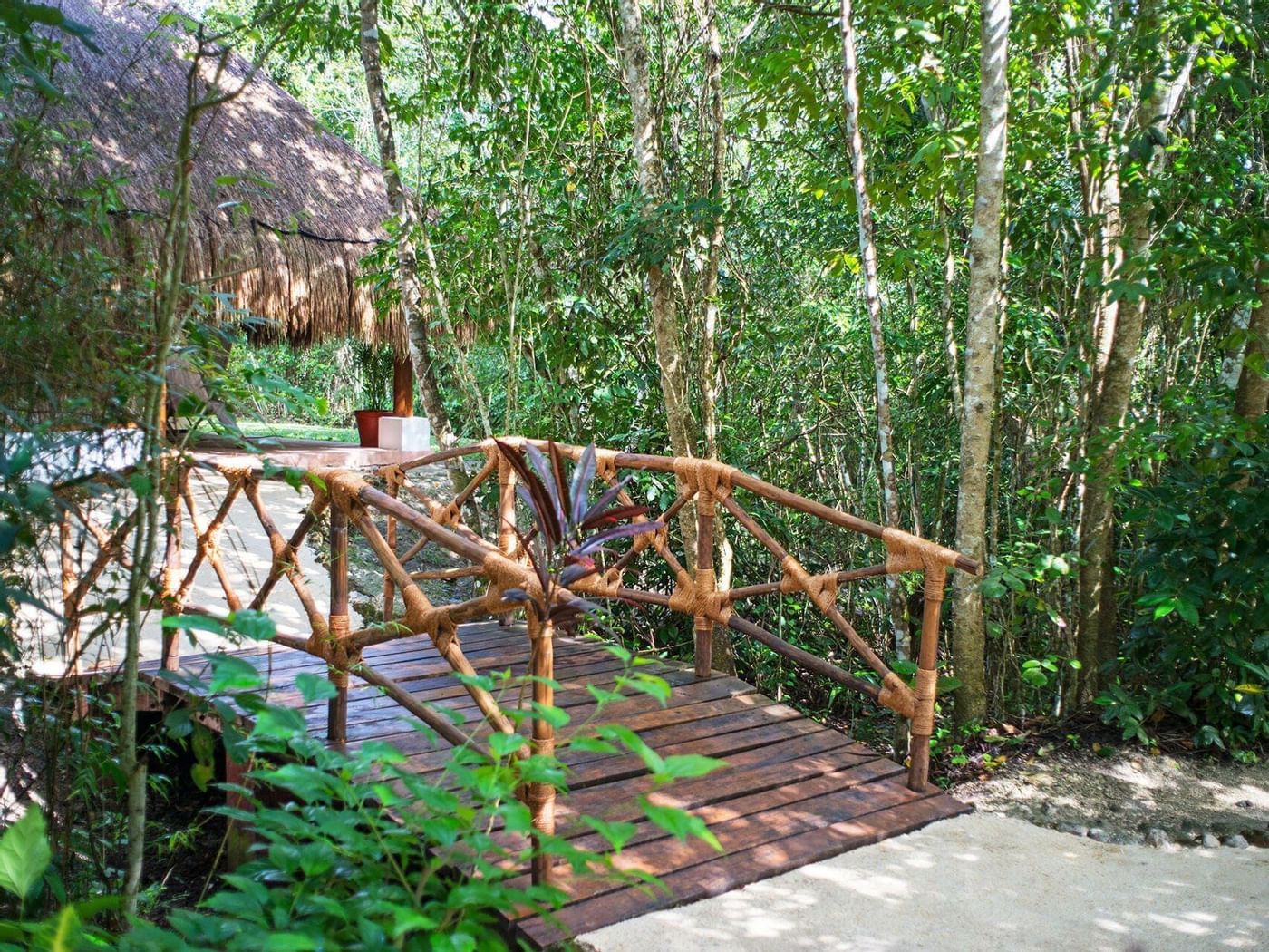 View of the wood bridge in garden at The Explorean Kohunlich