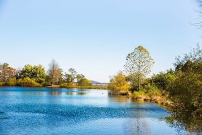 Hunter Lake.