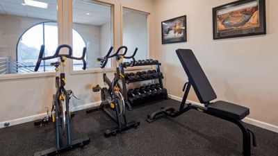Spin Bikes, Free Weight & Bench