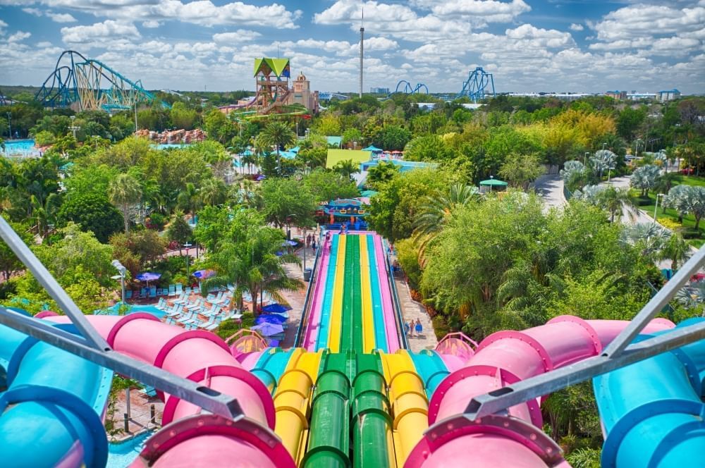 The view from the top of 8 colorful connected waterslides looking out over trees, pools, and other Aquatica attractions. 