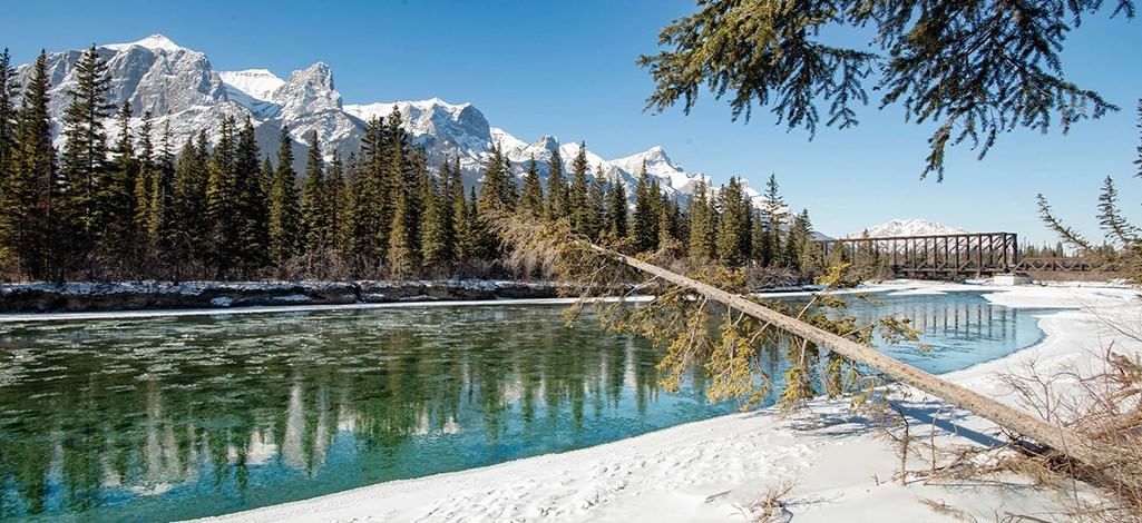 A snowy shore along the river with trees and mountains in the background in Banff National Park.