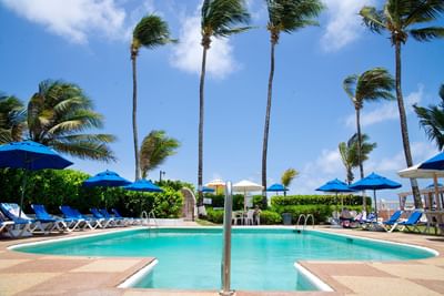 Sunbeds & palm trees by the outdoor pool area at Dover Beach Hotel