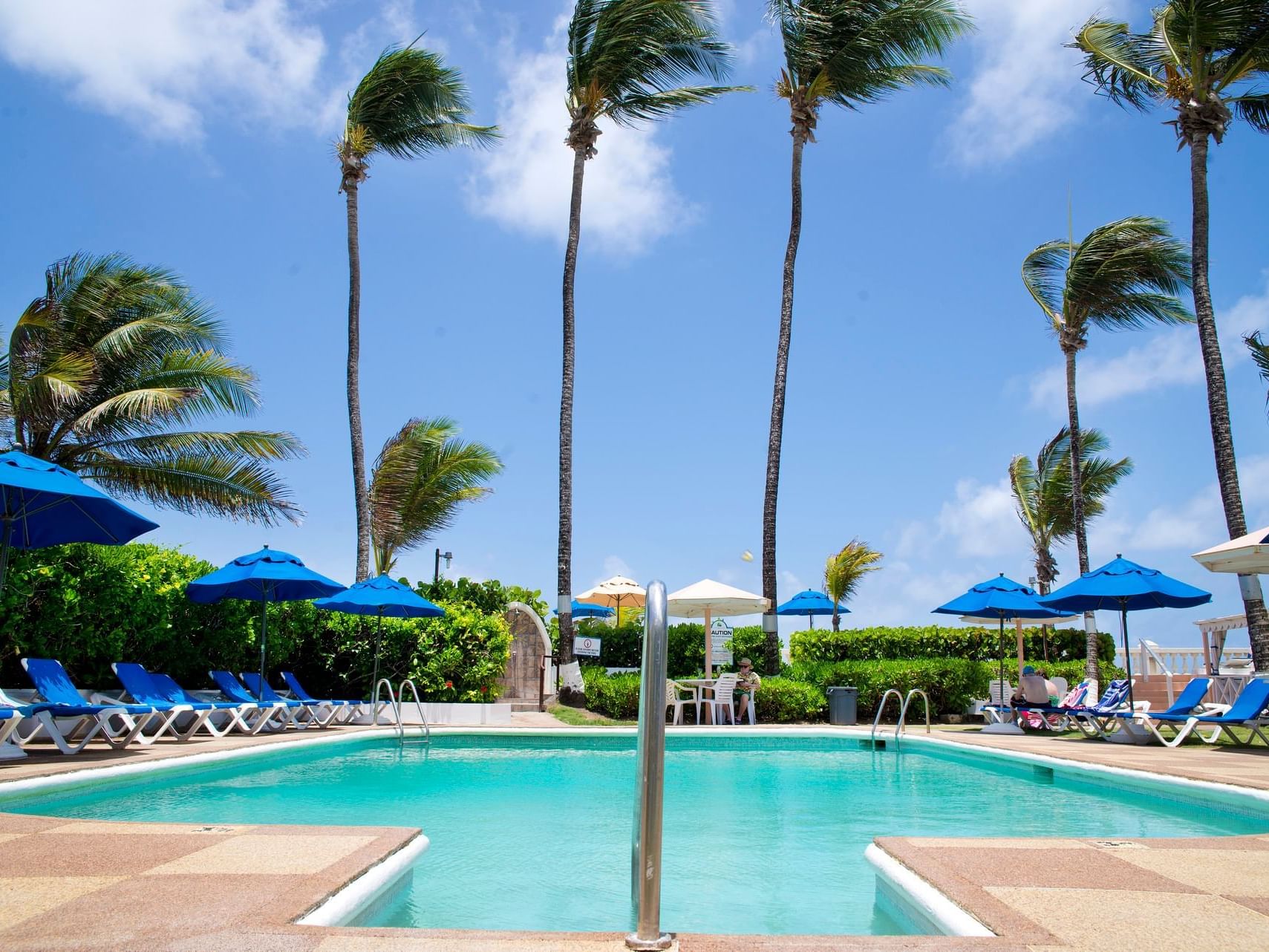 Sunbeds & palm trees by the outdoor pool area at Dover Beach Hotel