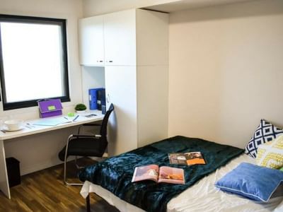 Darwin Studio_premium deluxe