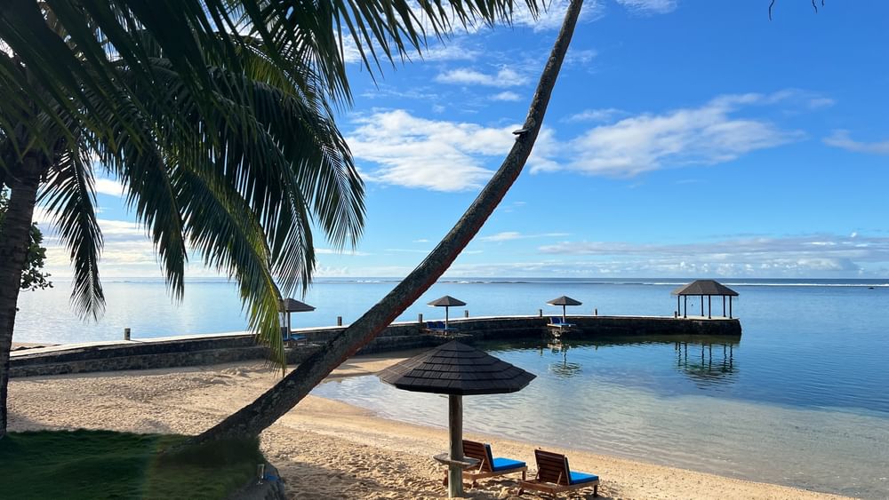 Sun loungers on sand beach with umbrellas and palm trees at Warwick Fiji Resort and Spa, Korolevu.