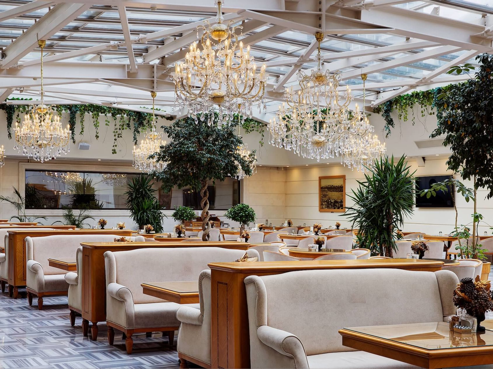 Couches in Winter Garden Cafe & Restaurant in Ottomans Deluxe